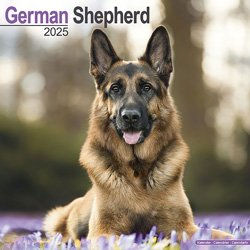 Hundekalender 2026 Deutscher Schäferhund, Maße: ca. 30,5 x 30,5 cm – Bild 1 von 8