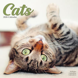 Hundekalender 2026 Katzen, Maße: ca. 30,5 x 30,5 cm – Bild 1 von 8