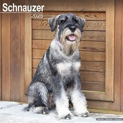 Hundekalender 2026 Schnauzer, Maße: ca. 30,5 x 30,5 cm – Bild 1 von 8