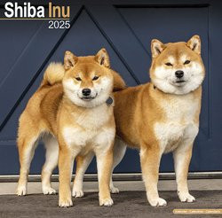 Produktbild von Hundekalender 2026 Shiba Inu, Maße: ca. 30,5 x 30,5 cm