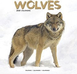Produktbild von Hundekalender 2026 Wölfe, Maße: ca. 30,5 x 30,5 cm