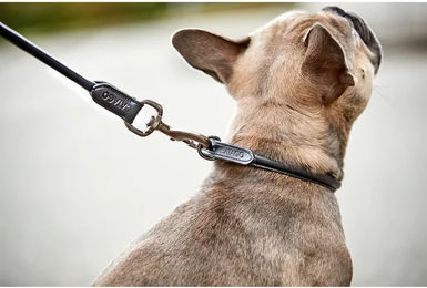 Produktbild von Hundeleine aus Leder mit runden SteppnÃ¤hten Catago