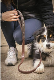 Produktbild von Hundeleine aus Leder Penelope Rubber