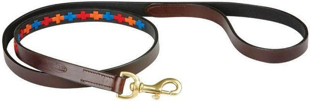 Produktbild von Hundeleine aus Leder Weatherbeeta Polo