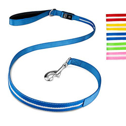 Produktbild von Hundeleine aus Nylon mit LED-Beleuchtung