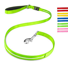 Produktbild von Hundeleine aus Nylon mit LED-Beleuchtung - 1,1 m