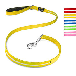 Produktbild von Hundeleine aus Nylon mit LED-Beleuchtung - 1,1 m