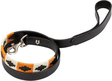 Produktbild von Hundeleine Equestro Polo N