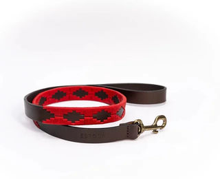 Produktbild von Hundeleine Estosa Libertad