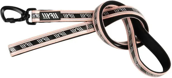 Produktbild von Hundeleine FuzzYard Active