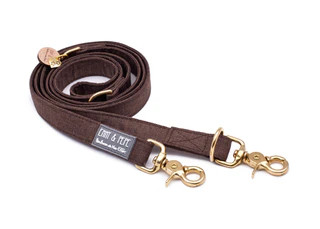 Produktbild von Hundeleine Golden L