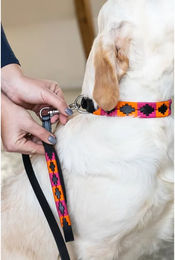 Produktbild von Hundeleine HFI Polo