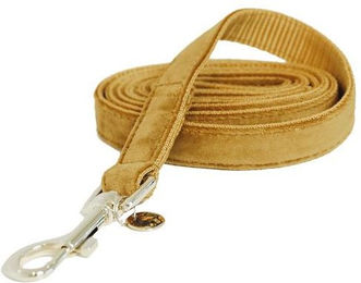 Produktbild von Hundeleine Kentucky Velvet