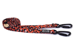 Produktbild von Hundeleine Leo Orange mit Sicherheitskarabiner