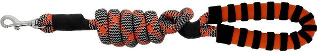 Produktbild von Hundeleine mit Griff Equithème Haspen