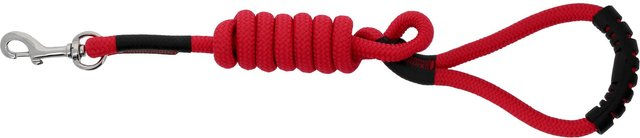 Produktbild von Hundeleine mit Griff Riding World Lucky