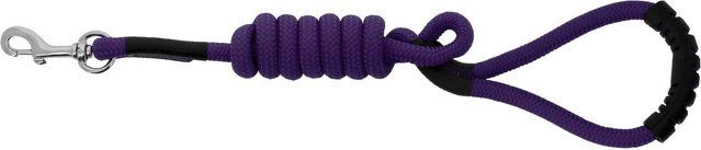 Produktbild von Hundeleine mit Griff Riding World Lucky