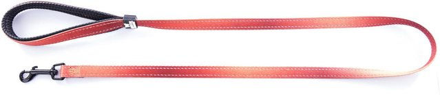 Produktbild von Hundeleine Nylon Martin Sellier S