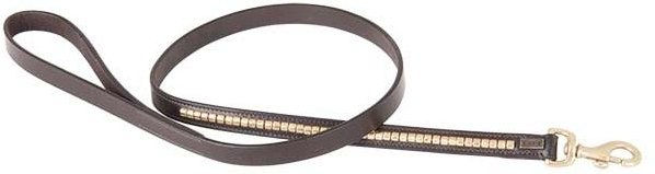 Produktbild von Hundeleine T de T Clincher