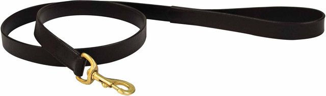 Produktbild von Hundeleine Weatherbeeta