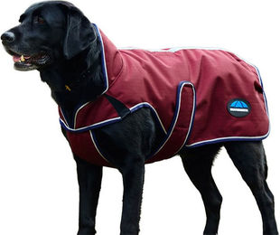 Produktbild von Hundemantel Weatherbeeta Comfitec Premier Deluxe