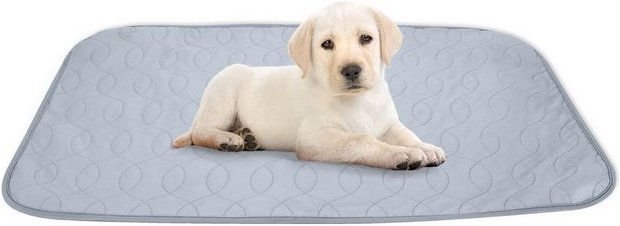 Produktbild von Hundematte Kokobin saugfähig und waschbar