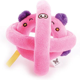 Produktbild von Hundespielzeug Schwein Ball Martin Sellier