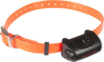 Produktbild von Hundetrainingshalsband allein mit Gurtband Num'axes Canicom 5