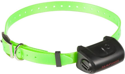 Produktbild von Hundetrainingshalsband allein mit Gurtband Num'axes Canicom 5