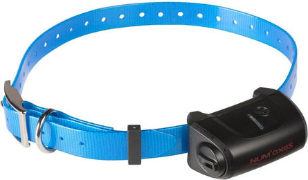 Produktbild von Hundetrainingshalsband allein mit Gurtband Num'axes Canicom 5