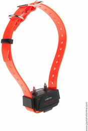 Produktbild von Hundetrainingshalsband allein mit Gurtband Num'axes Canicom