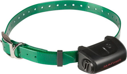 Produktbild von Hundetrainingshalsband Canicom 5 mit Gurtband Num'axes