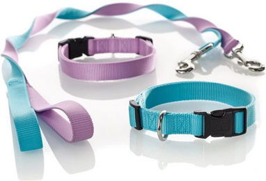 Produktbild von Hunter Ecco Sport Vario Basic Hundehalsband türkis