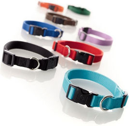 Produktbild von Hunter Ecco Sport Vario Plus Hundehalsband Nylon türkis