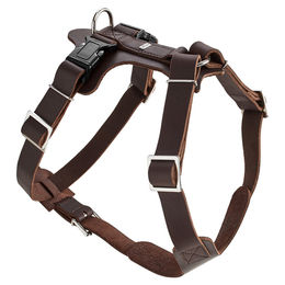 Hunter Geschirr Aalborg dunkelbraun M – Bild 1 von 3