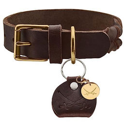 HUNTER SANSIBAR SOLID Hundehalsband aus Leder – Bild 1 von 5