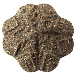 Produktbild von Hunter Smart Katzenspielzeug Catnip Kleeblatt - 1 Stk.