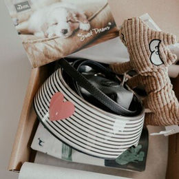 Hunter Welpen-Starterset – Bild 1 von 3