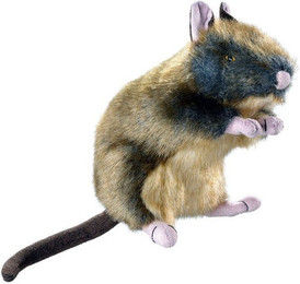 Produktbild von Hunter Wildlife Ratte Hundespielzeug - 20 cm