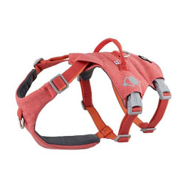Produktbild von HURTTA Hunde-Geschirr Safeguard ECO strawberry