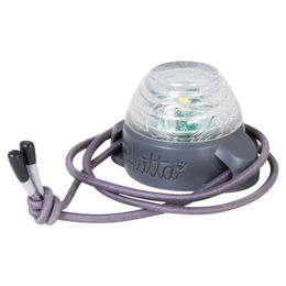 Produktbild von Hurtta Nordic Light LED Lampe