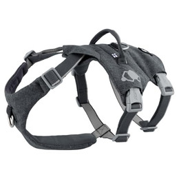 Produktbild von Hurtta Safeguard Geschirr ECO blackberry (grau)