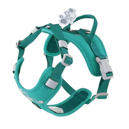 Produktbild von Hurtta Weekend Warrior Geschirr II ECO peacock (türkis)
