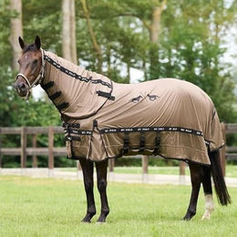 HV Polo Fliegendecke HVPNena – Bild 1 von 5