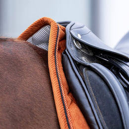 Produktbild von HV Polo Schabracke HVPDana GP