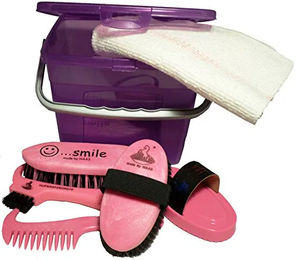 Haas Kinder Pferde Putzbox aus Kunststoff in Lila/Rosa mit Grooming-Set – Bild 1 von 3