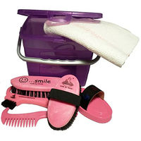 Produktbild von Haas Kinder Pferde Putzbox aus Kunststoff in Lila/Rosa mit Grooming-Set