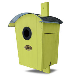 Habau Meisenkasten Nistkasten für Wildvögel aus Holz in Grün - 1 Stk. – Bild 1 von 8