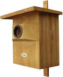 Habau Starenkasten aus Holz in Braun – Bild 1 von 2