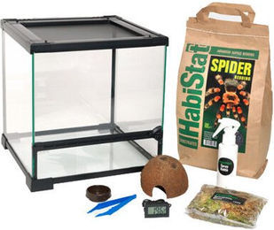 Produktbild von HabiStat Starter-Set für Spinnen aus transparentem Glas